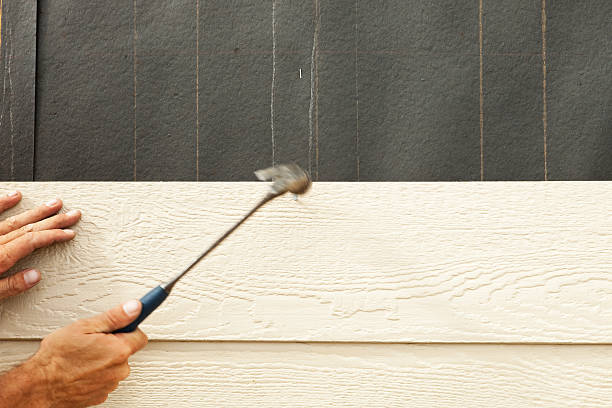 Affordable Siding Repair and Maintenance Services in Boise City, OK